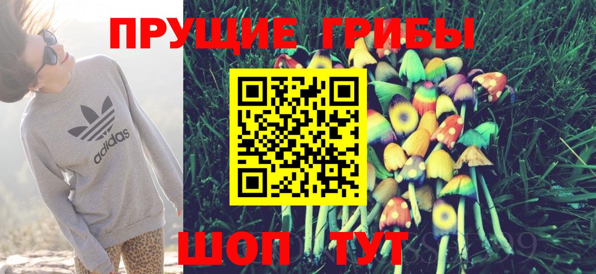 Галлюциногенные грибы мухоморы Гатчина