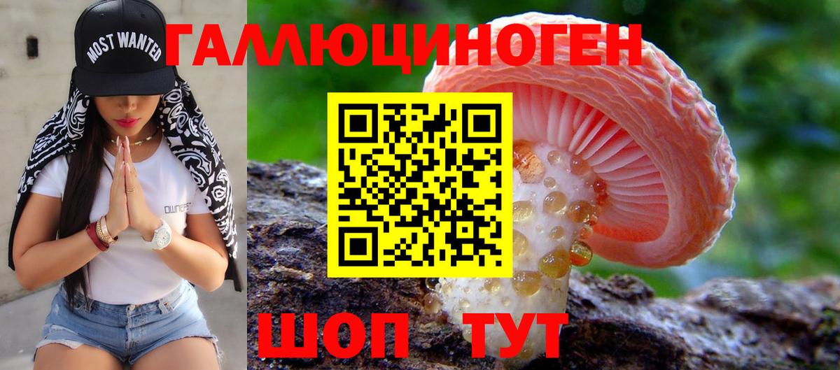 Галлюциногенные грибы Psilocybine cubensis  Вход с VPN  Гатчина 